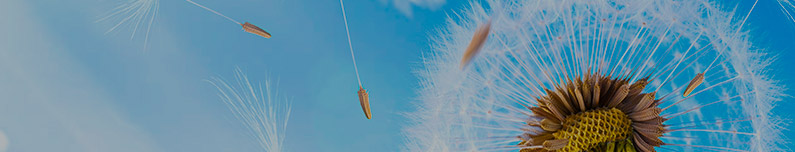 環(huán)境保護和創(chuàng)新